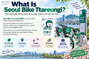 How to Use Seoul Bike Ttareungi (2026 Guide for Tourists) Seoul Bike Ttareungi public bicycle sharing service in Seoul
